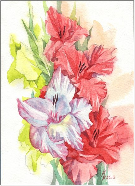 Гладиолус сиреневая акварель