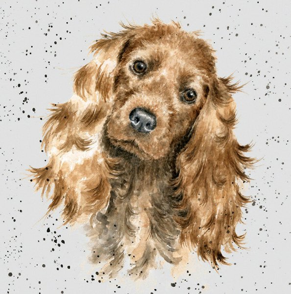 Jane Davies акварель