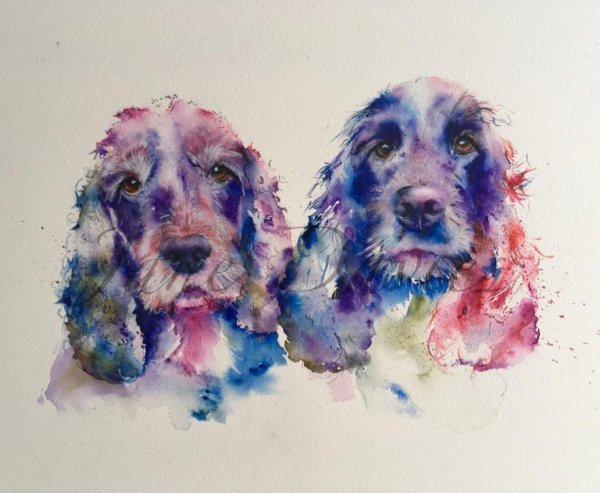 Спаниель в профиль