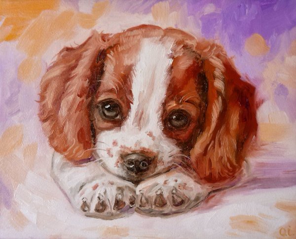 Английский спрингер-спаниель