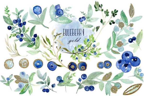Синие ягоды акварель