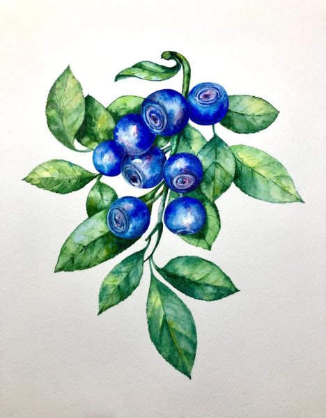 Черника в живописи