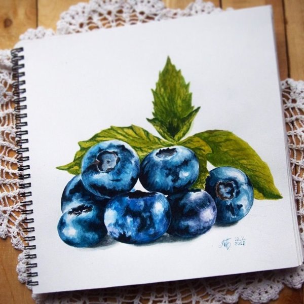 Черника обыкновенная ботаника