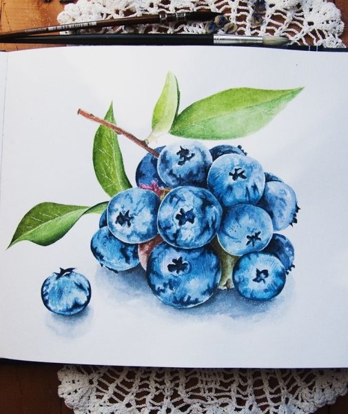 Черника акварель