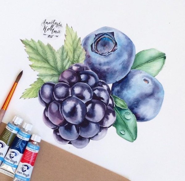 Черника для рисования