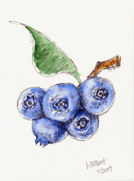 Скетчинг ягоды