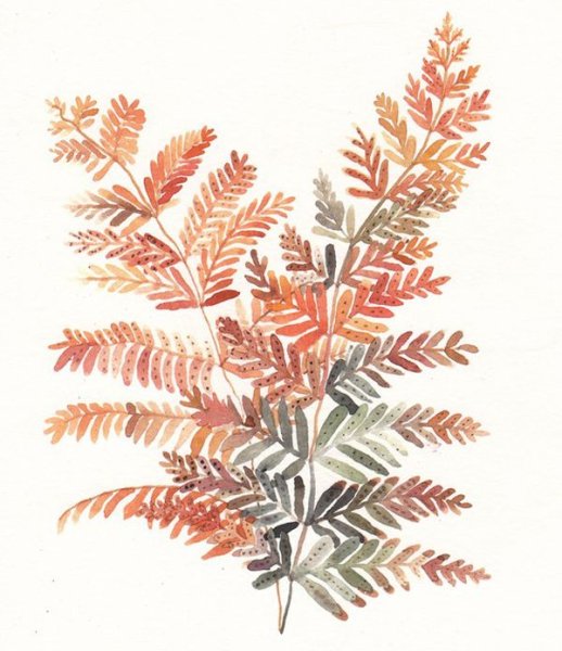 Акварель монстра папоротник