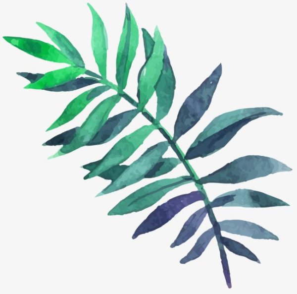 Лист папоротника акварель