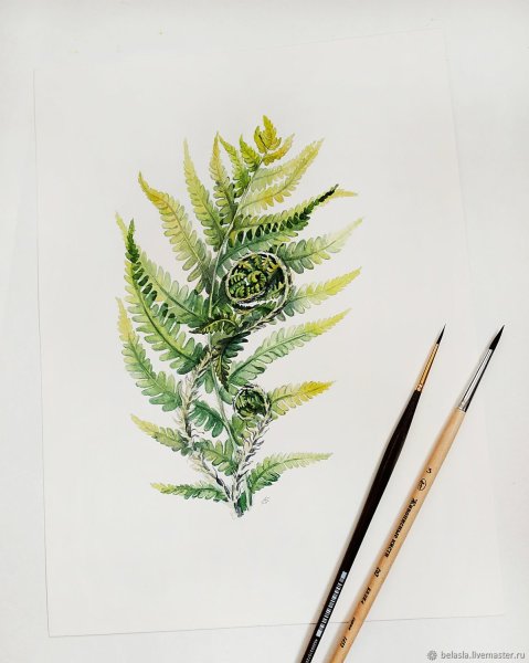 Картина с листом папоротника