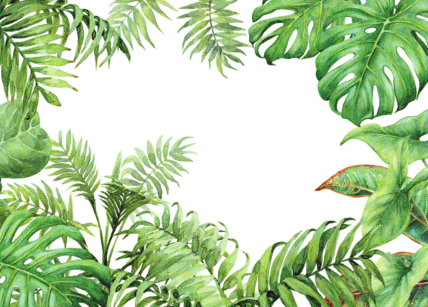 Папоротник стилизация