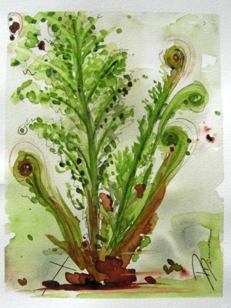 Папоротник акварель