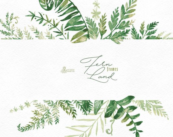 Тропические листья Ботаническая иллюстрация