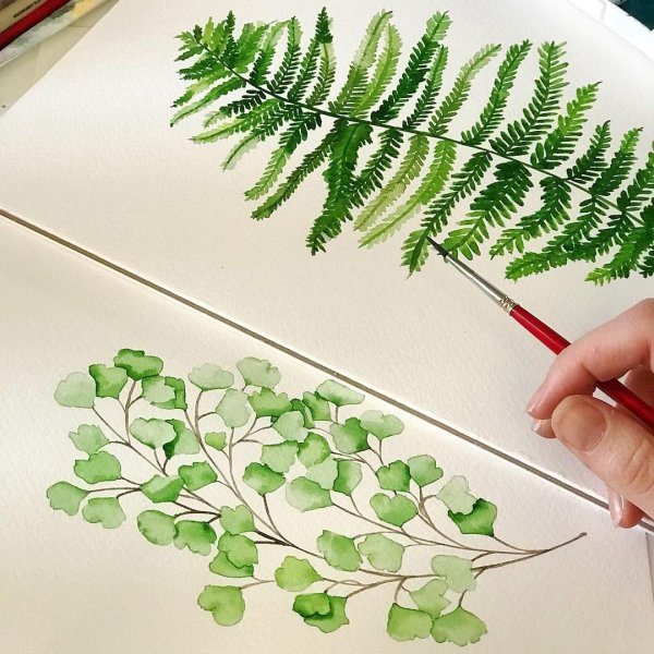 Тату папоротник акварель