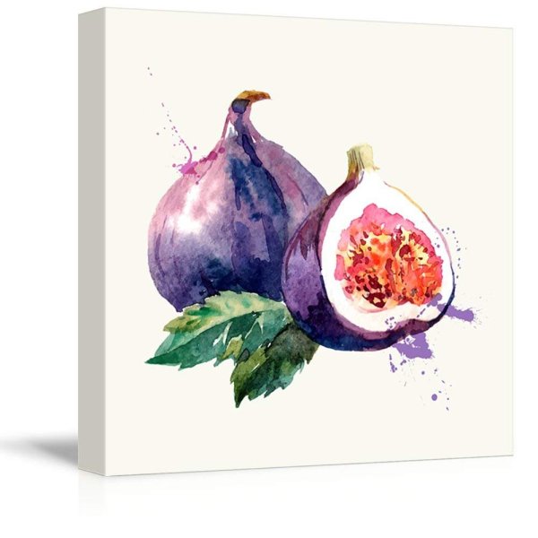 Инжир скетч акварелью