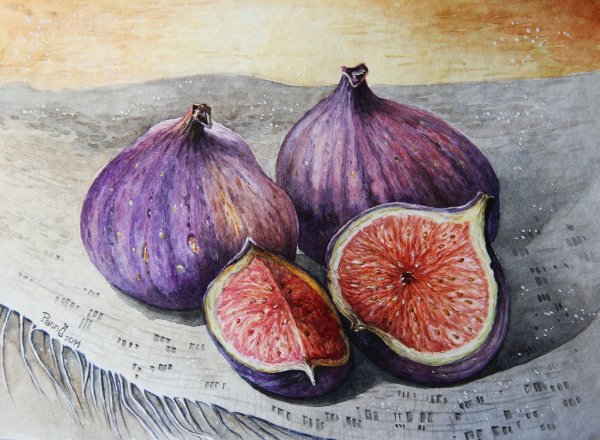 Инжир Ботаническая иллюстрация маслом