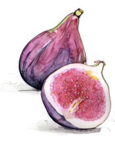 Экзотические фрукты акварелью