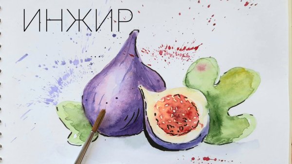 Фрукты акварелью абстрактные