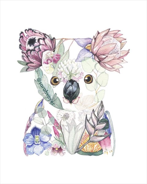 Коала акварелью