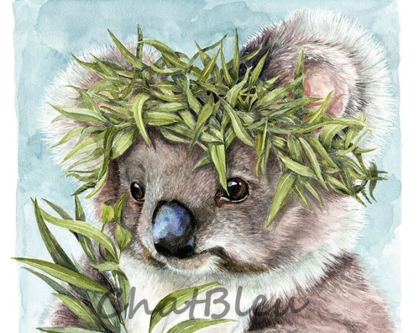 Коала акварелью