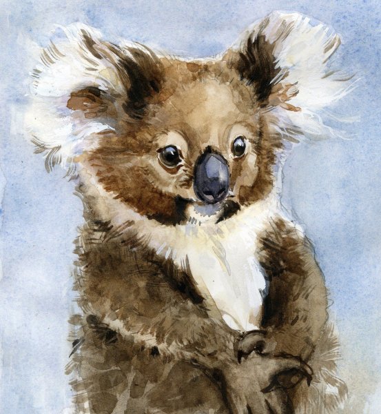 Животные гуашью