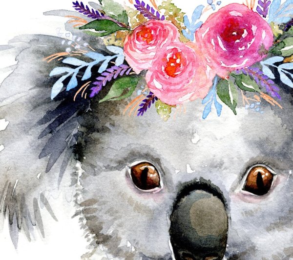 Коала акварель малыш