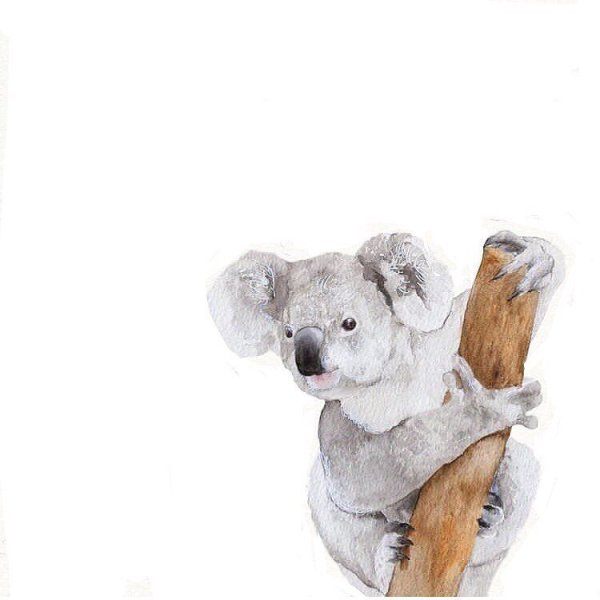 Животные акварелью