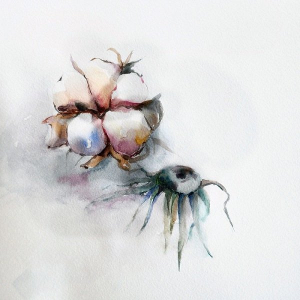 Хлопок акварель