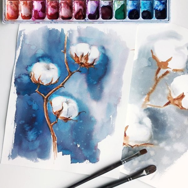 Цветок хлопка акварель