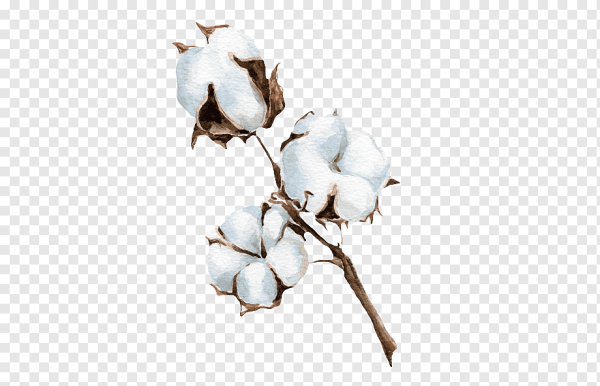 Юлия Степашкина акварель