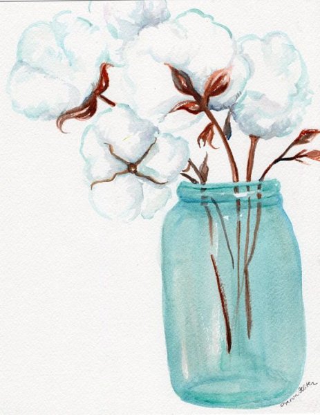 Веточка хлопка акварель