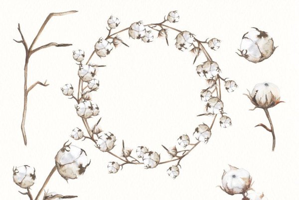 Хлопок рисунок