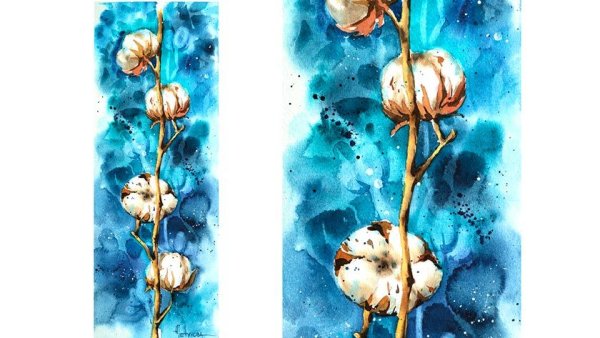 Хлопок акварель