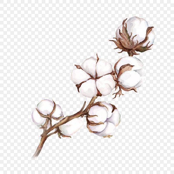 Хлопок рисунок