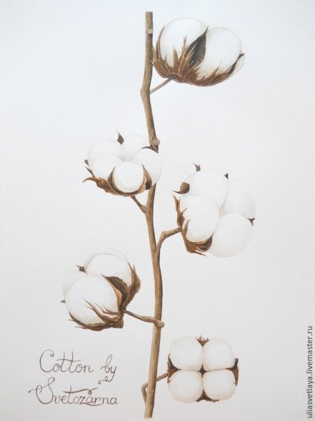 Хлопок нарисованный