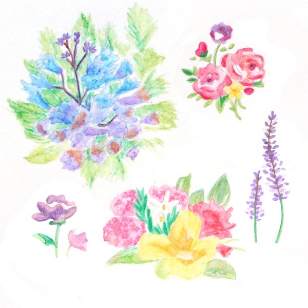 Графические элементы пастель цветы