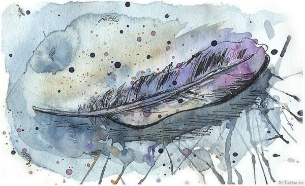 Этюды перьев птиц