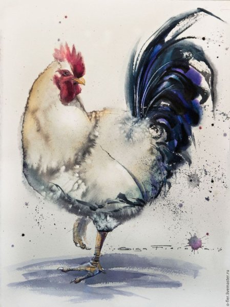 Куры акварелью