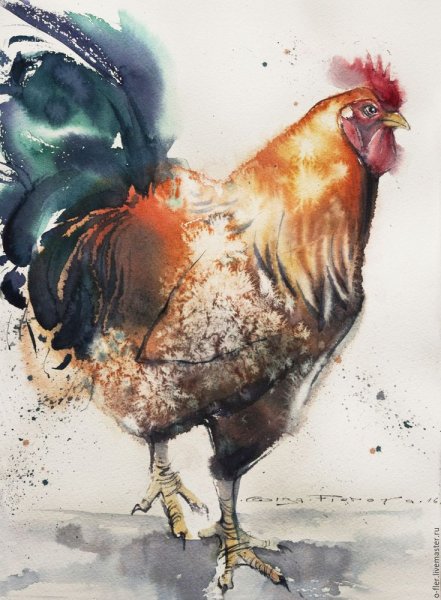 Петух картина