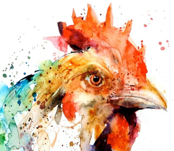 Курица акварель по сырому