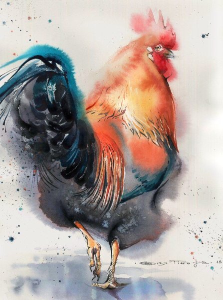 Петух в красках в акварели