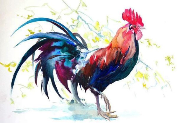 Курица красками