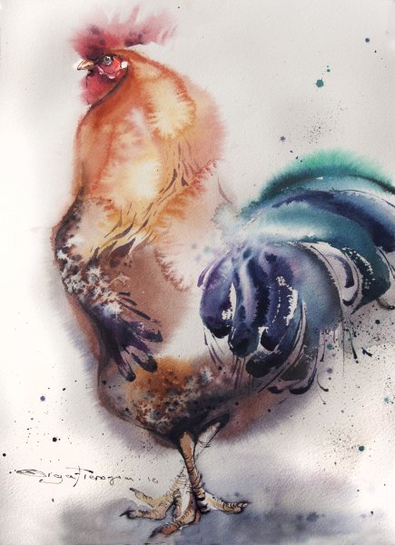 Петух акварелью