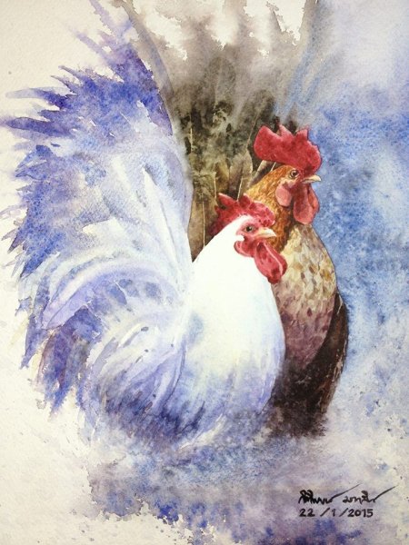 Петух живопись акварелом