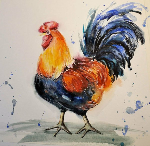 Петух вектор акварель