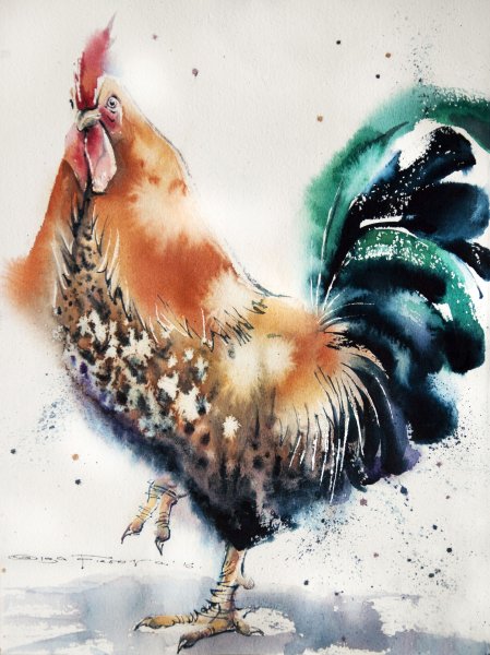 Фабио Сембранелли петух