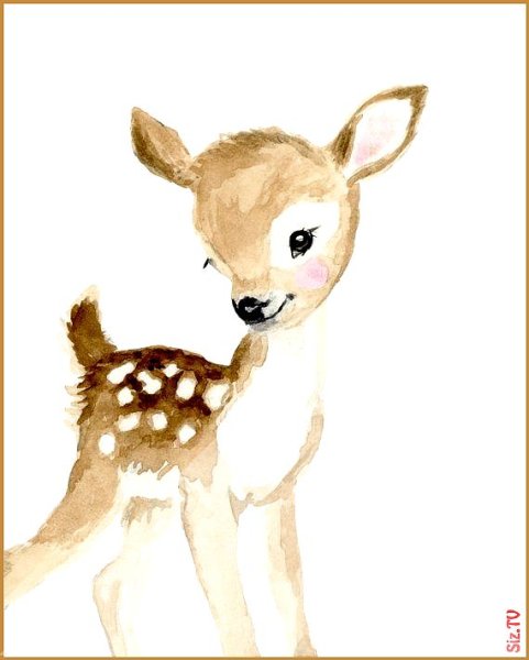 Олененок акварель