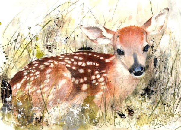 Художник Lucy Newton