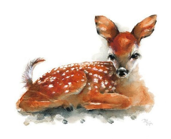 Лань акварелью