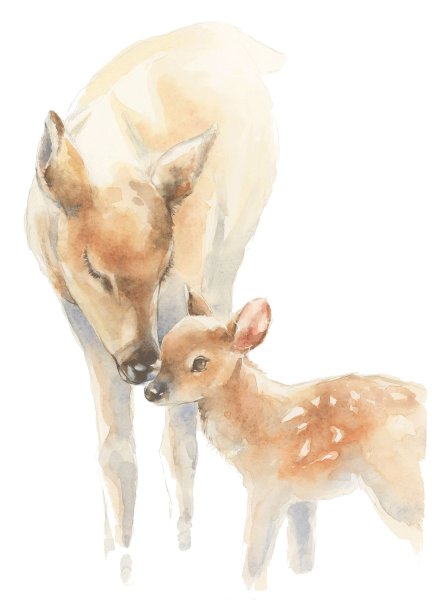 Акварельный Олененок