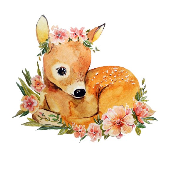 Акварельные зверята